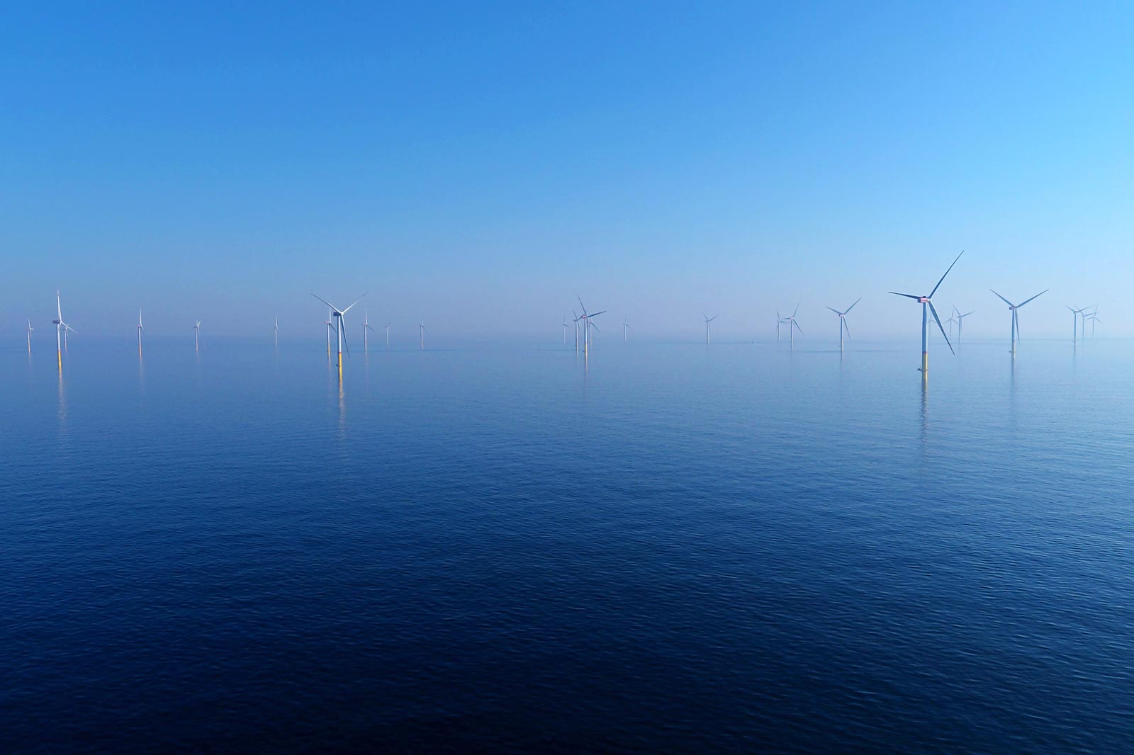 A serene seascape featuring numerous offshore wind turbines silhouetted against a clear blue sky.