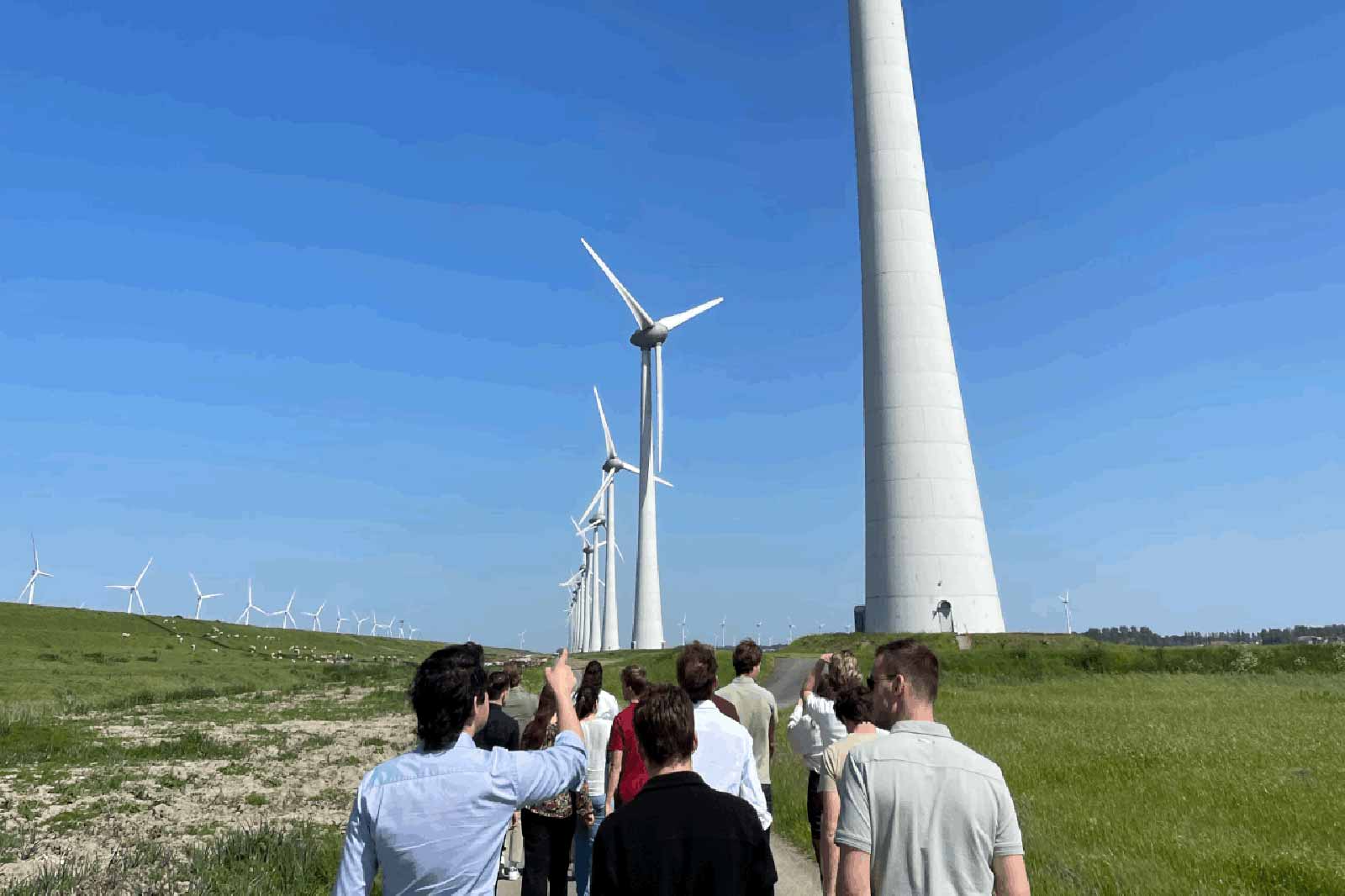 A group of people walking along a path near large wind turbines under a clear blue sky.