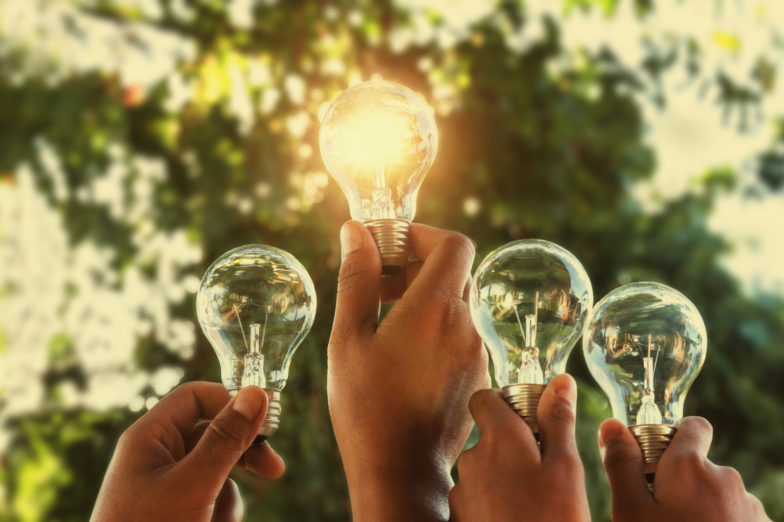Four hands hold light bulbs against a blurred green background. One bulb shines brightly, symbolising creativity.